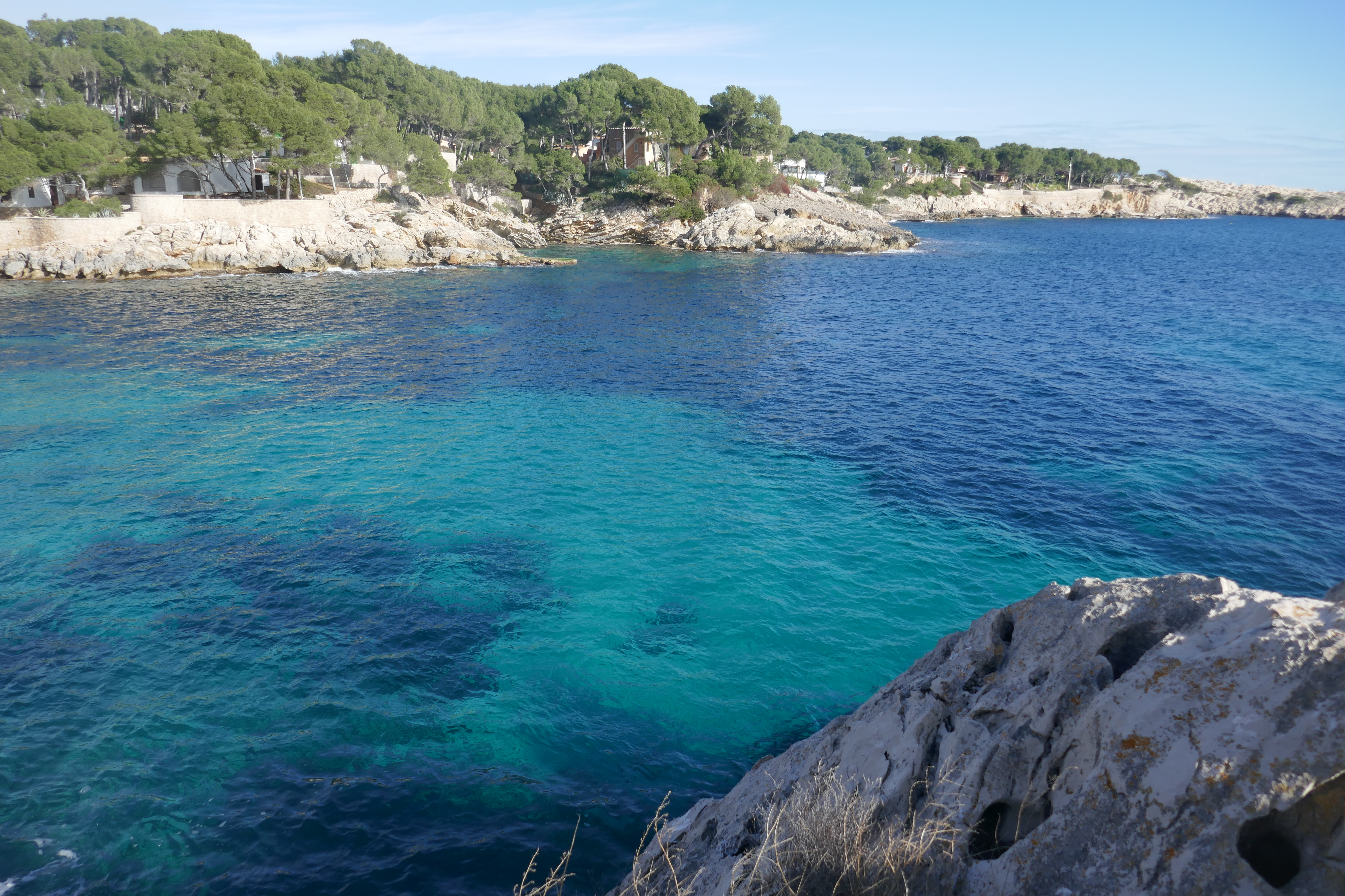 No photoshop is needed here. These are the REAL colors!