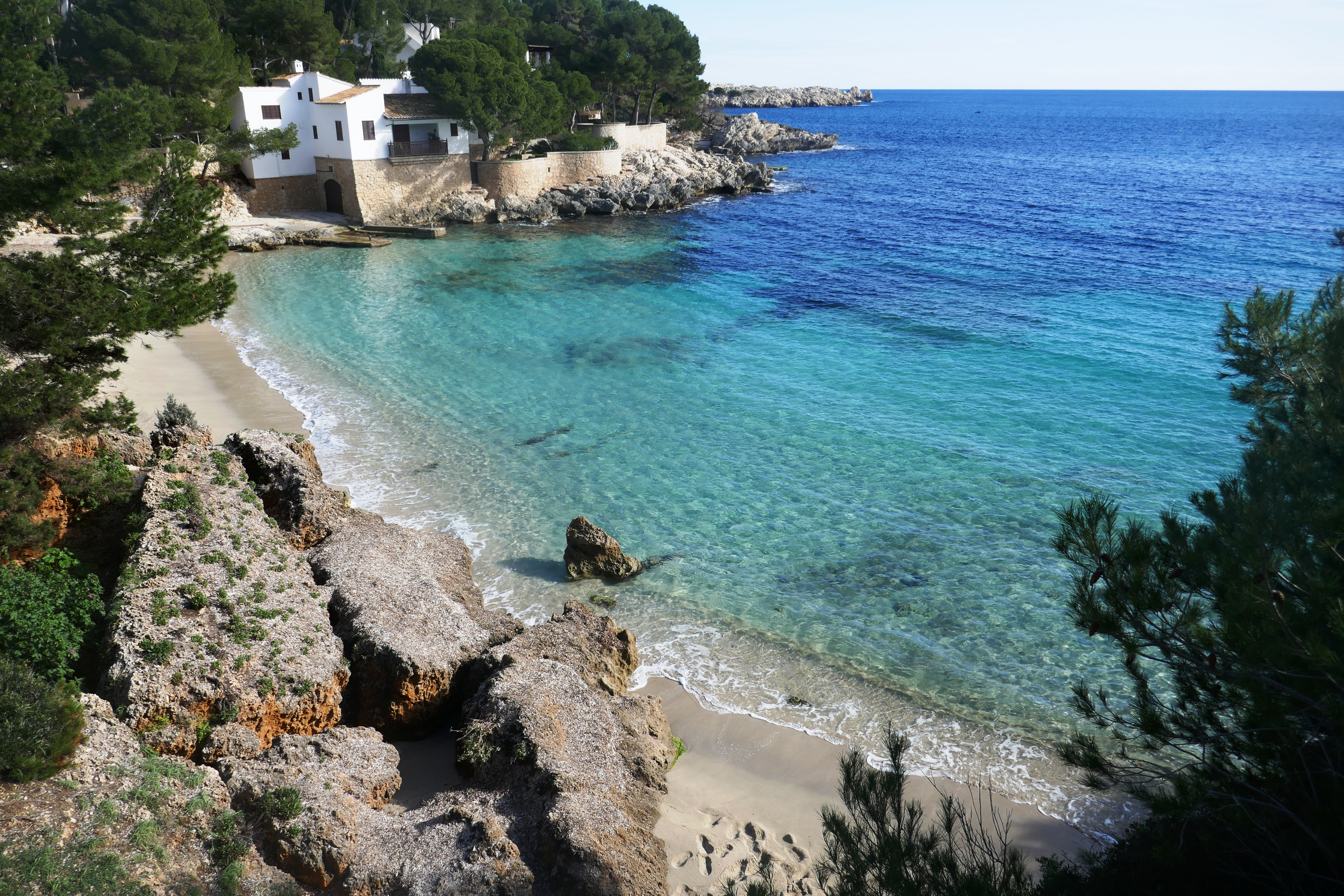 I can only imagine how beautiful it must be to swim through these waters.