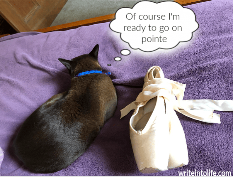 A kitten lies beside a pair of ballet pointe shoes, dreaming of glory: Of course I'm ready to go on pointe