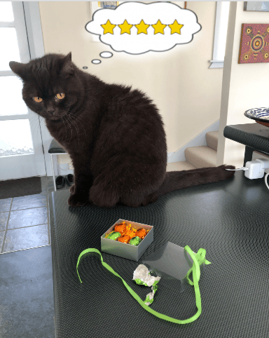 Photo of cat awarding 5 stars to box of van Heiningen Easter Eggs