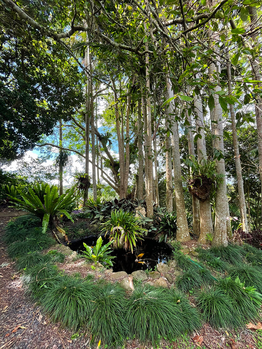 Mount Tamborine Write of the Middle