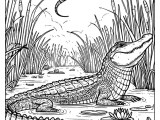 7 Free Printable Alligator Coloring Pages Sheets And Pictures For
