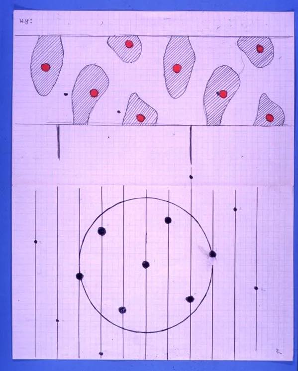Morphogenesis Diagrams, Alan Turning – Write Out