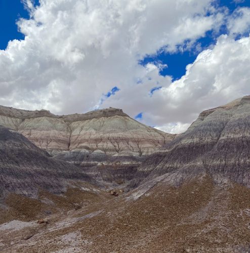 painted-desert-or-petrified-forest