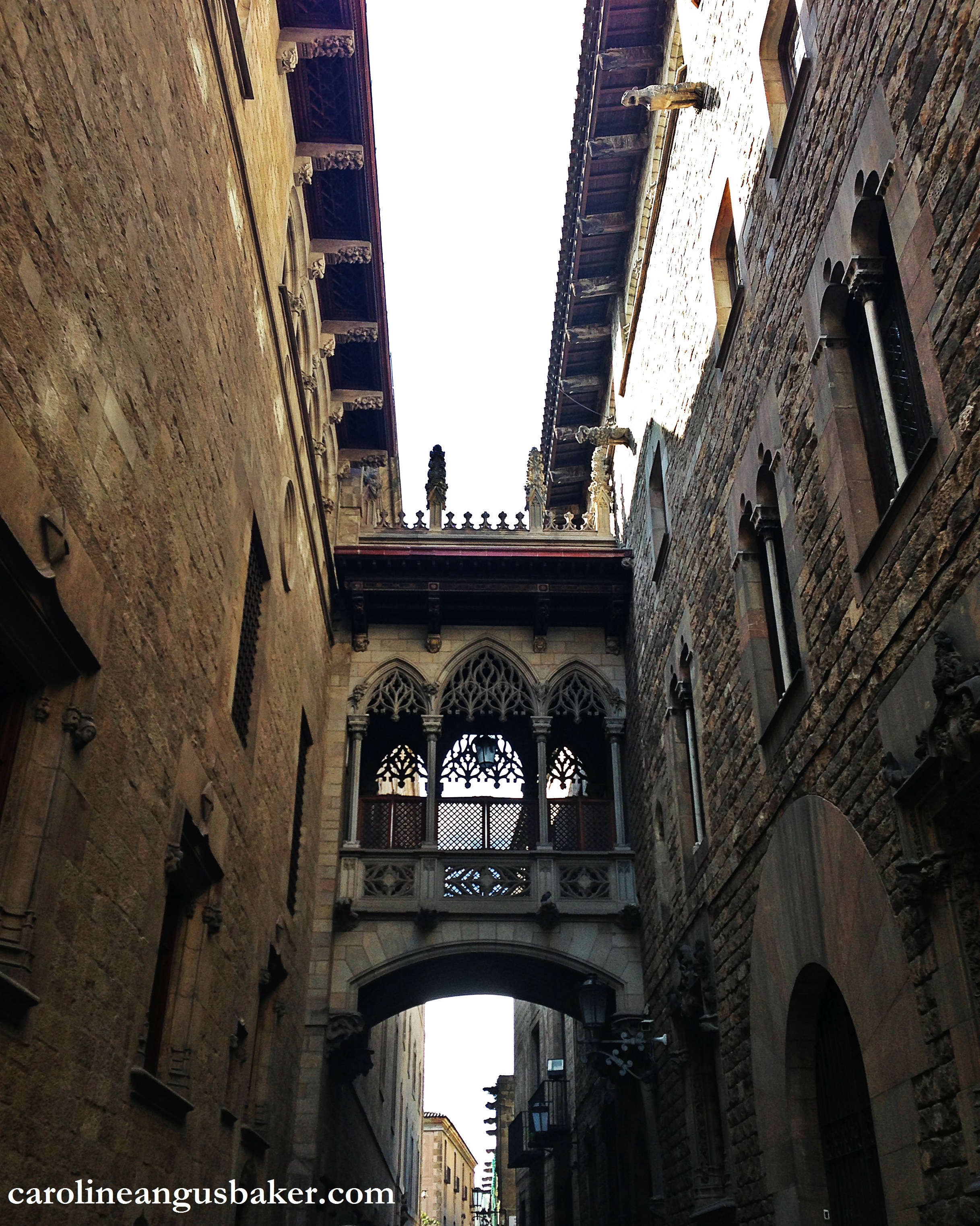 On intimate terms with controversy, rebellion, and—perhaps surpri. Placa De George Orwell Caroline Angus