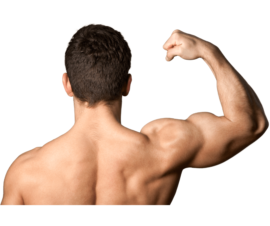 Update more than 118 anime back muscle in.eteachers