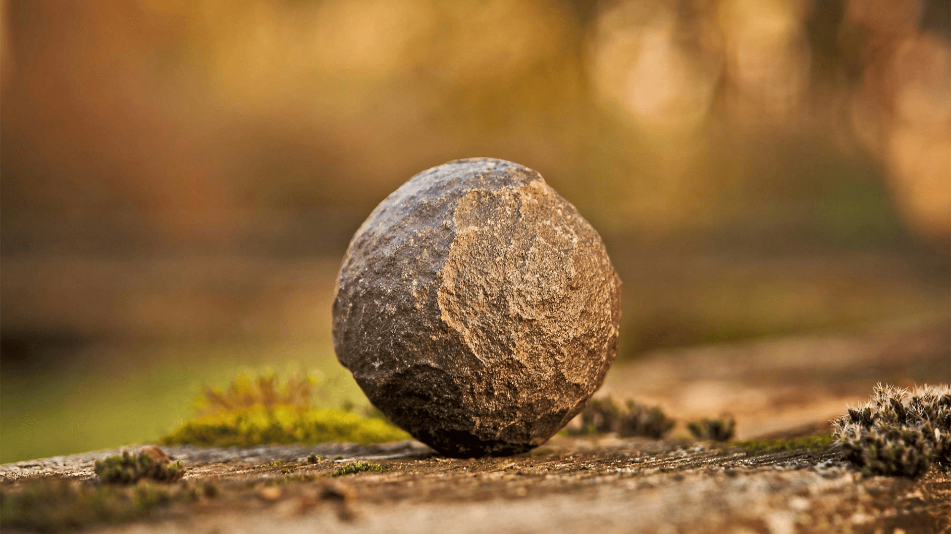 Writing on Solid Ground: Create an Intentional Writing Practice