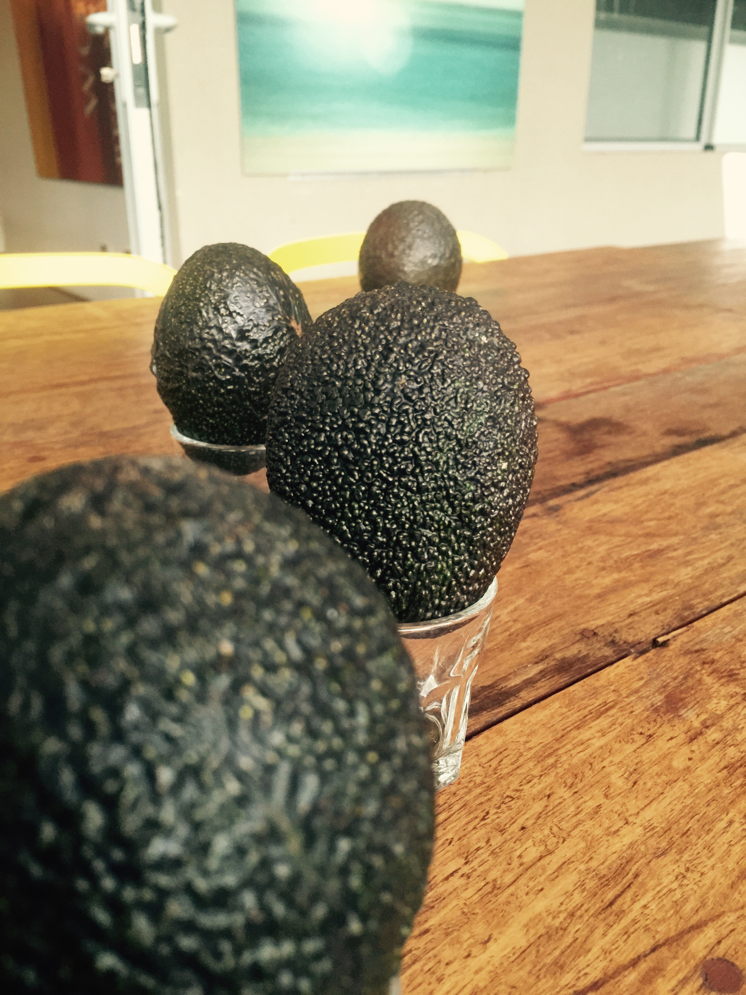Something about avocados (and church planting)