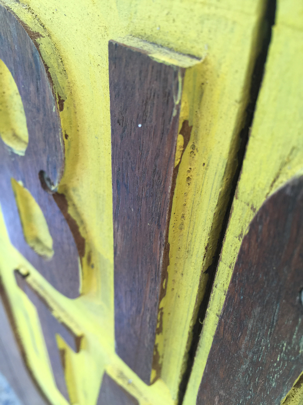 Something about spiders (and church service) – Part One