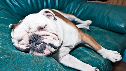Something about Mondayitis