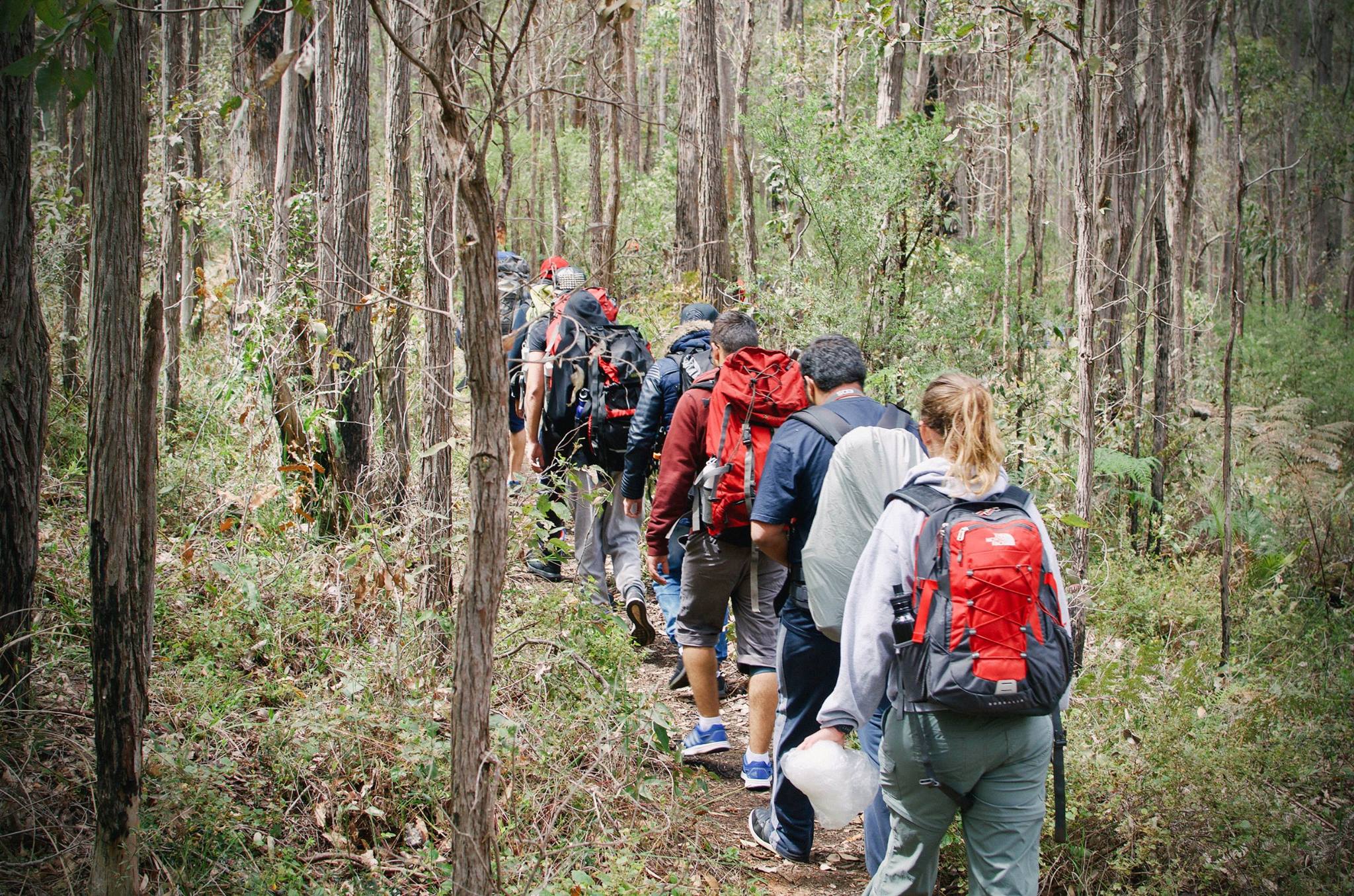 Something about small steps to a Hike Project