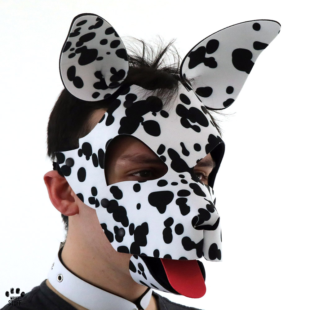 Dalmato Pup Hood