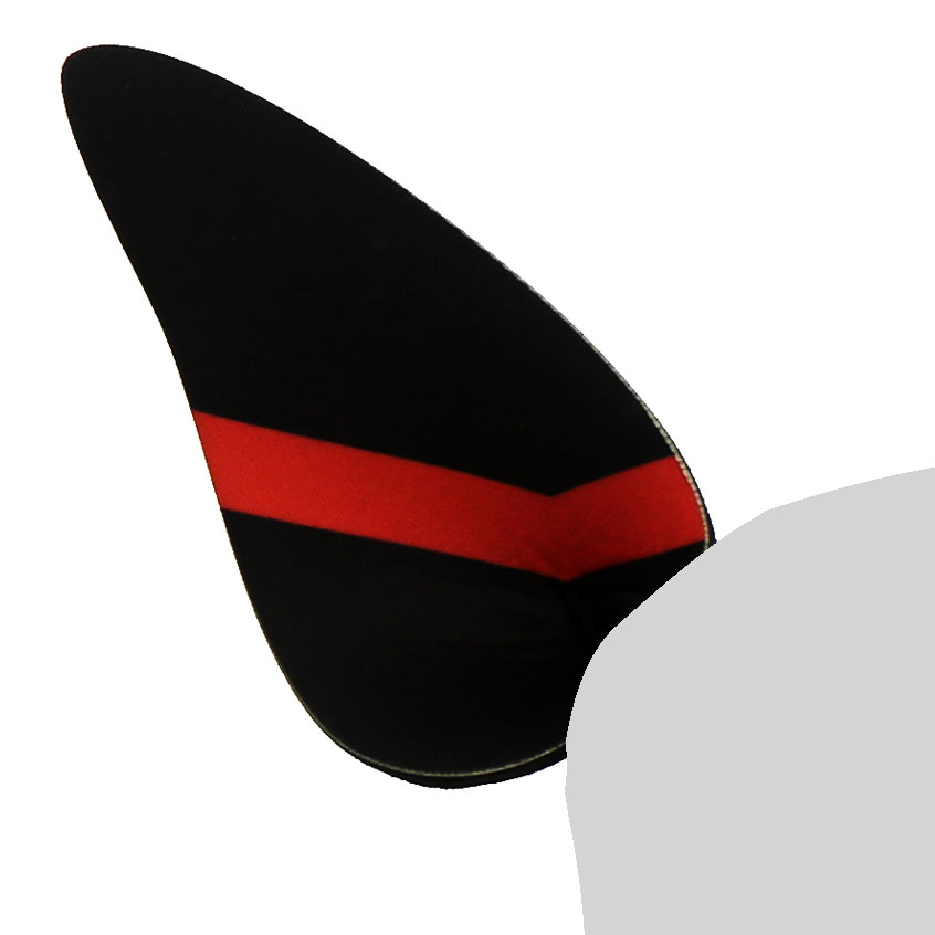 Neuromancer Ears