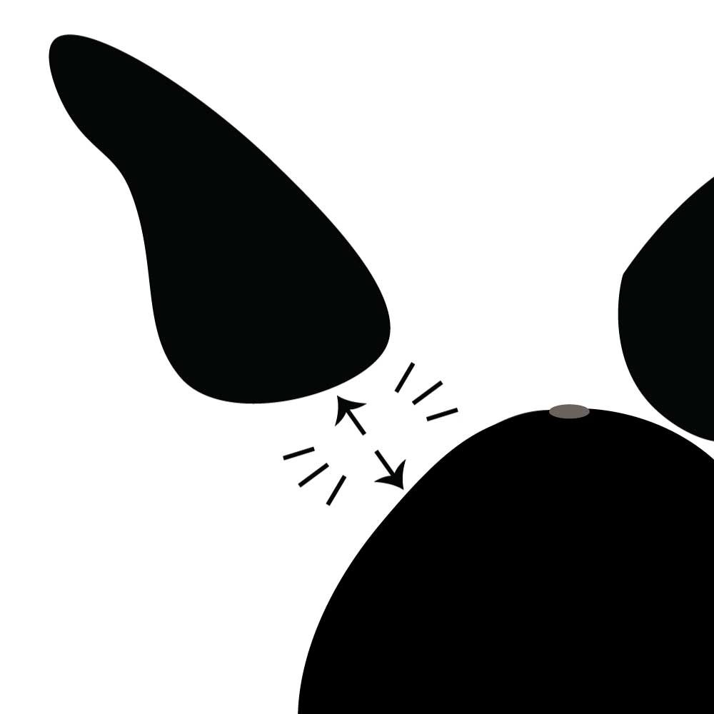 Upgrade your own cap to fit detachable ears