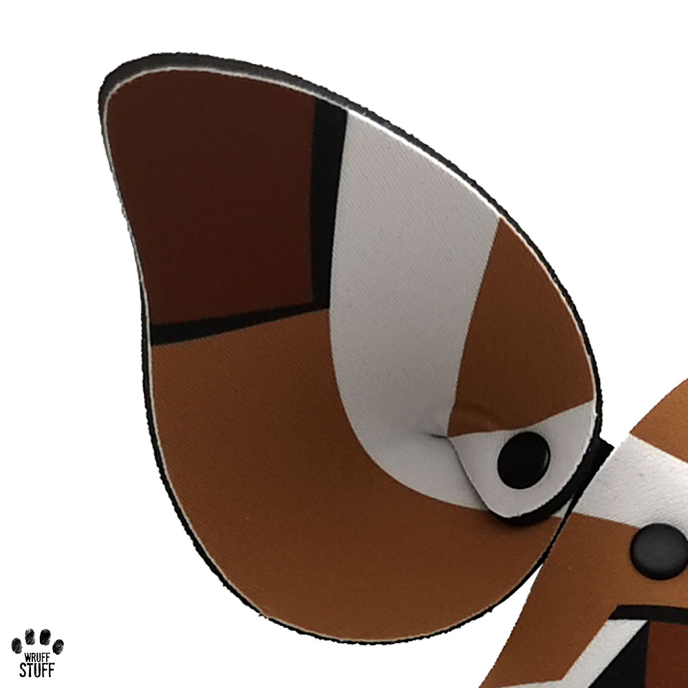 Hector 2020 Pup Ears