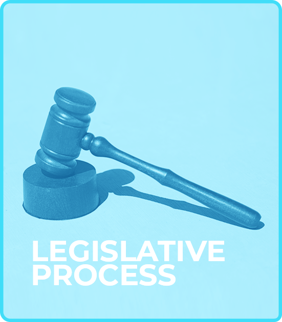 Legislative Process