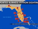 Python Threat Expanding Beyond Florida Everglades New Study Finds