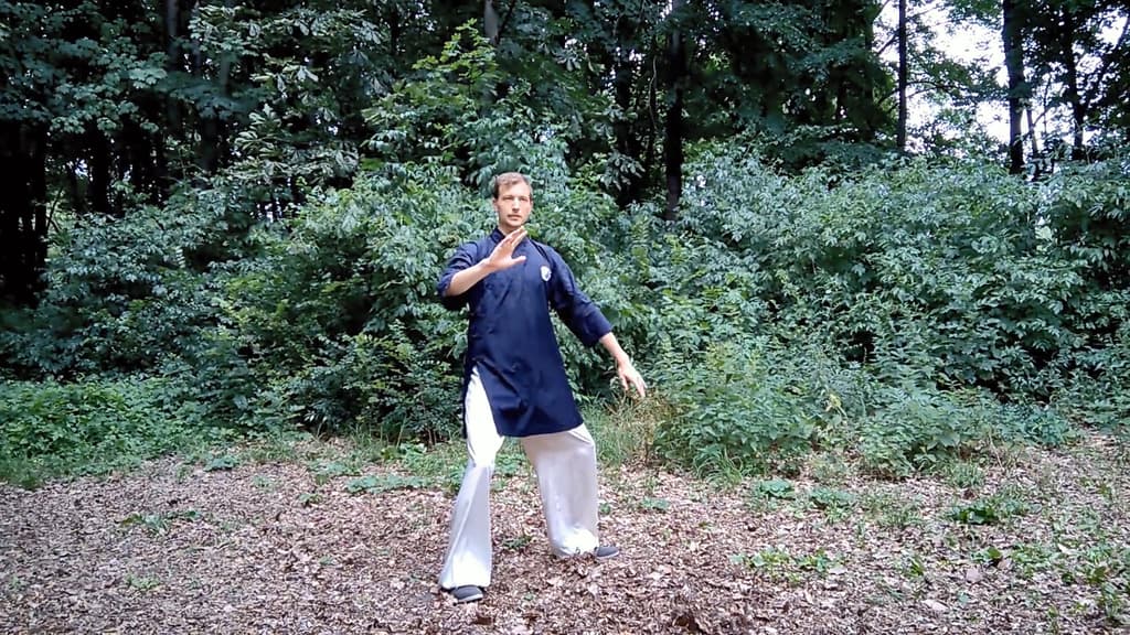 Taiji 13 Steps for Beginners Part 6 (Final)