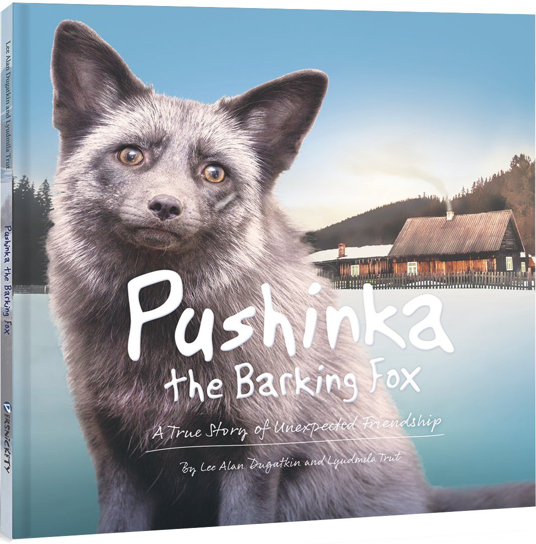 Pushinka the Barking Fox
