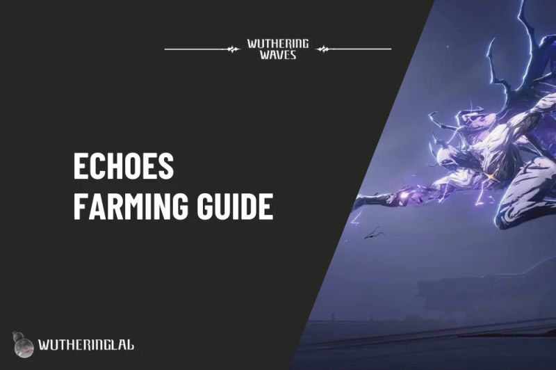 Cuddle Wuddle Echo Wuthering Waves - Classic High Resolution Space Patterns | Free Download