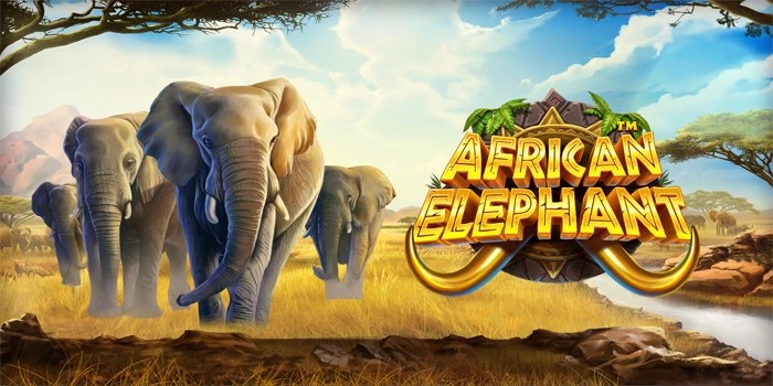 Bocoran Pola Main Slot African Elephant Paling Ampuh Dan Akurat