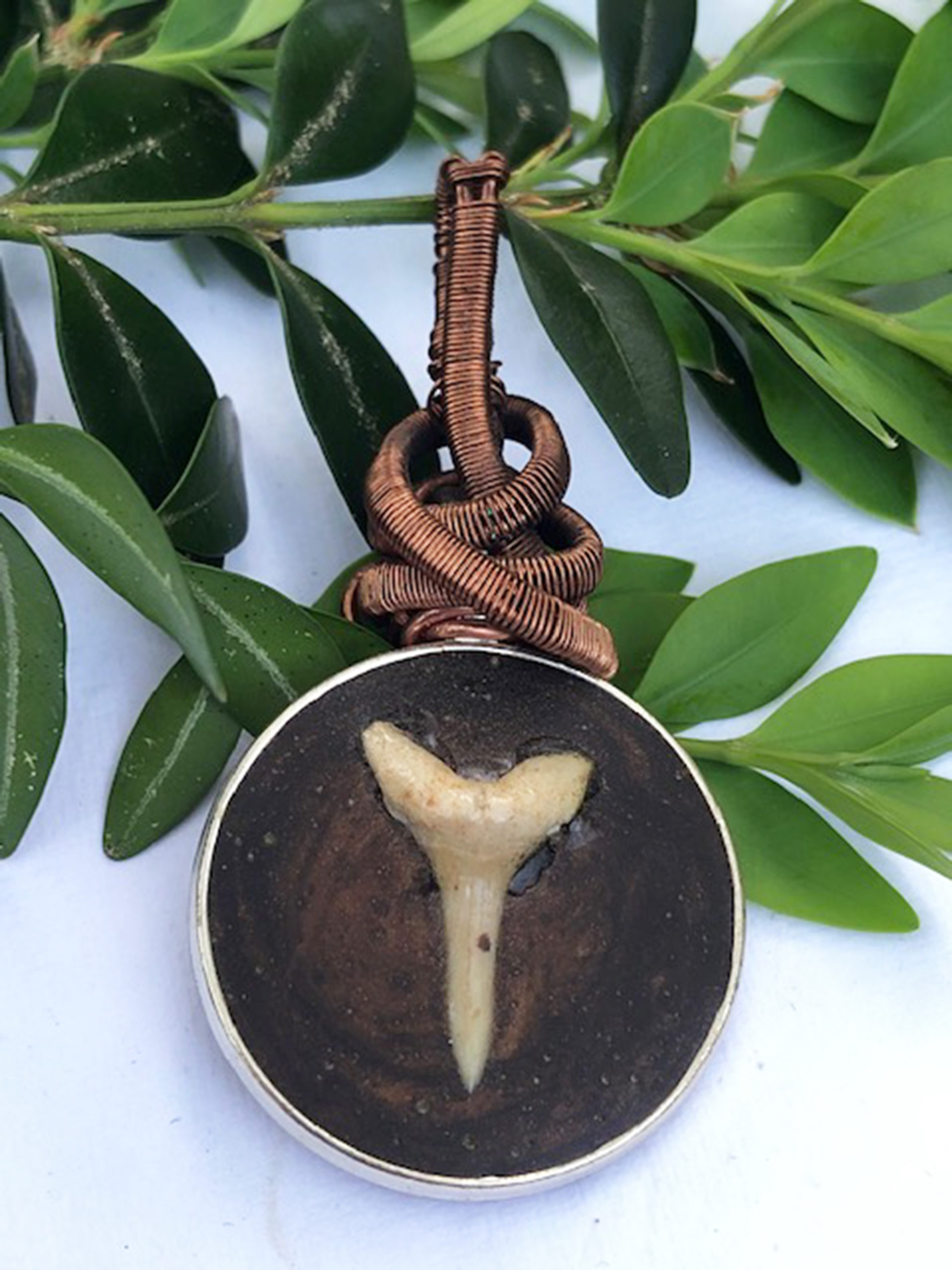 Fossilized Sharks Tooth & Copper Pendant Handmade Jewelry & Candles