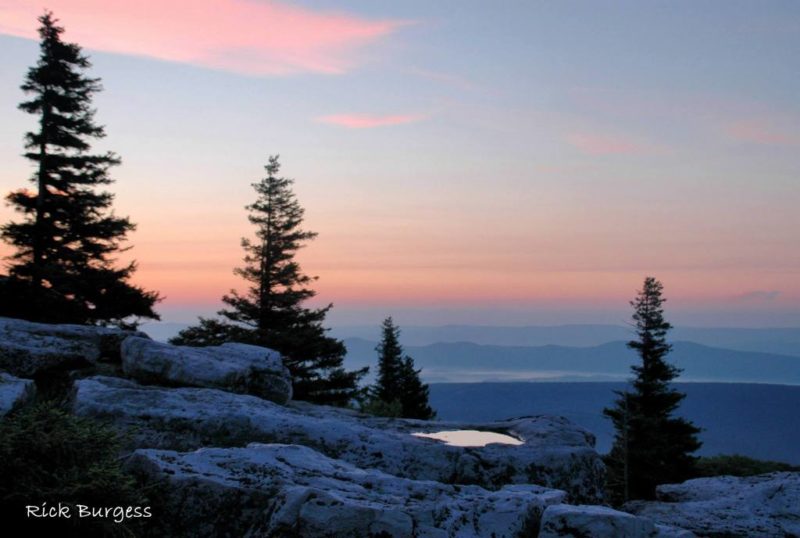 Bear Rocks Pink Morning, Dolly Sods Wilderness Area