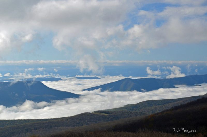Fog, North Fork of the Potomac River, Rick Burgess, Potomac Branches Region