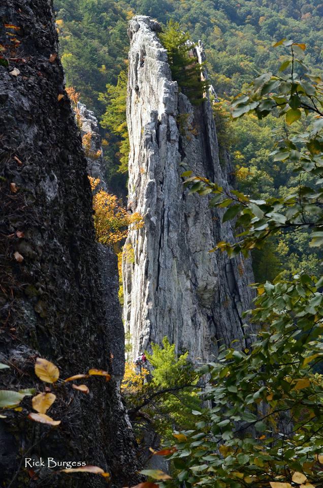 Blade at Seneca Rocks, Seneca Rocks Climbing Area, Monongahela National Forest, Potomac Branches Region