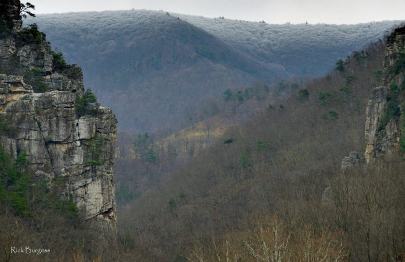 Snow at Seneca Rocks, Pendleton County, Potomac Branches Region