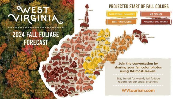 Changing Leaves 2024 WV Fall Foliage Map Helps Leaf Peepers Find Peak Fall Foliage 