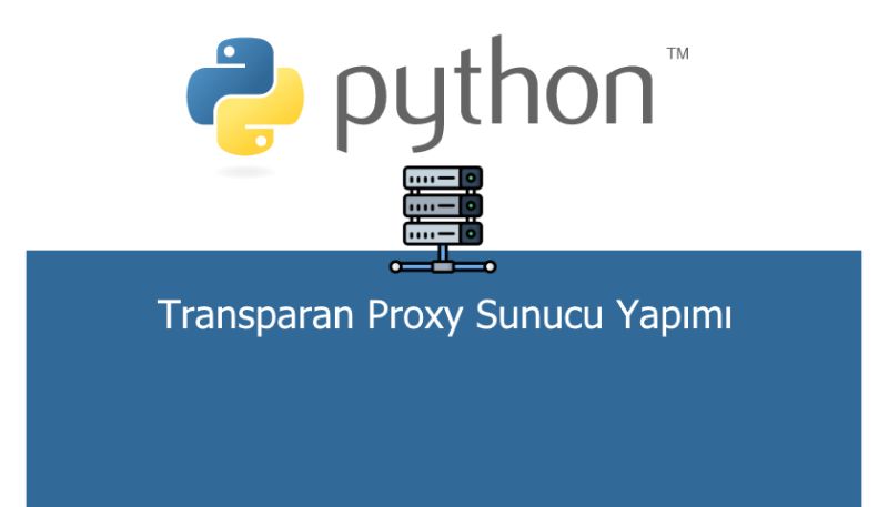 Transparan Proxy Pdf - Premium Minimal Pattern Gallery - Retina