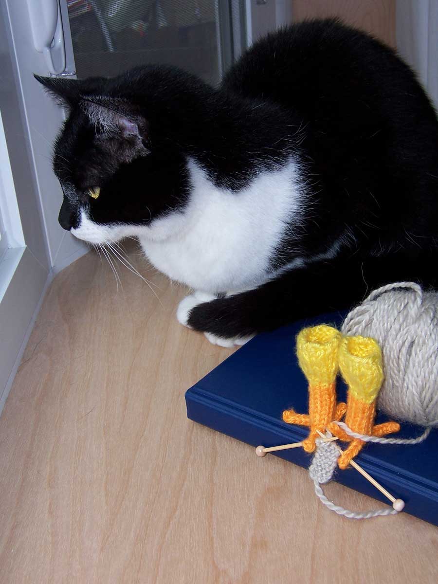 Yarn Harlot Chicken Legs