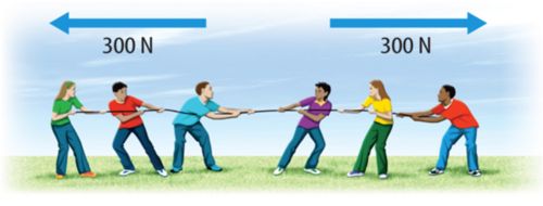 Difference Between Balanced And Unbalanced Forces Filo - Landscape Images - Gorgeous Full HD Collection