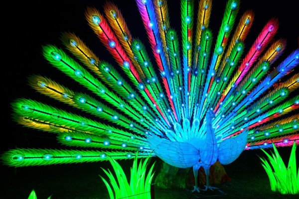 China Lights laten dierentuin Kleve schitteren