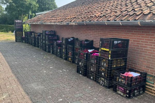 Achterhoekse corso’s terug te kijken via 1Achterhoek TV