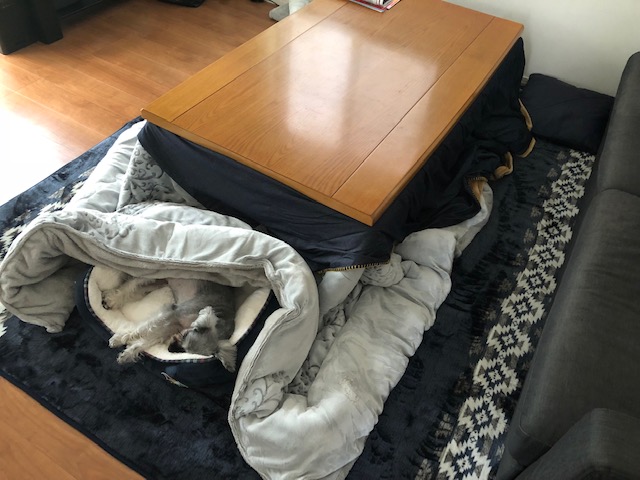 image1_3.jpeg