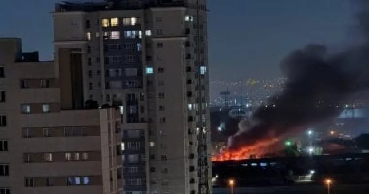 أفضل 6 تطبيقات للتواصل المرئي لضمان سلامة الأهل في ظل التوترات الراهنة