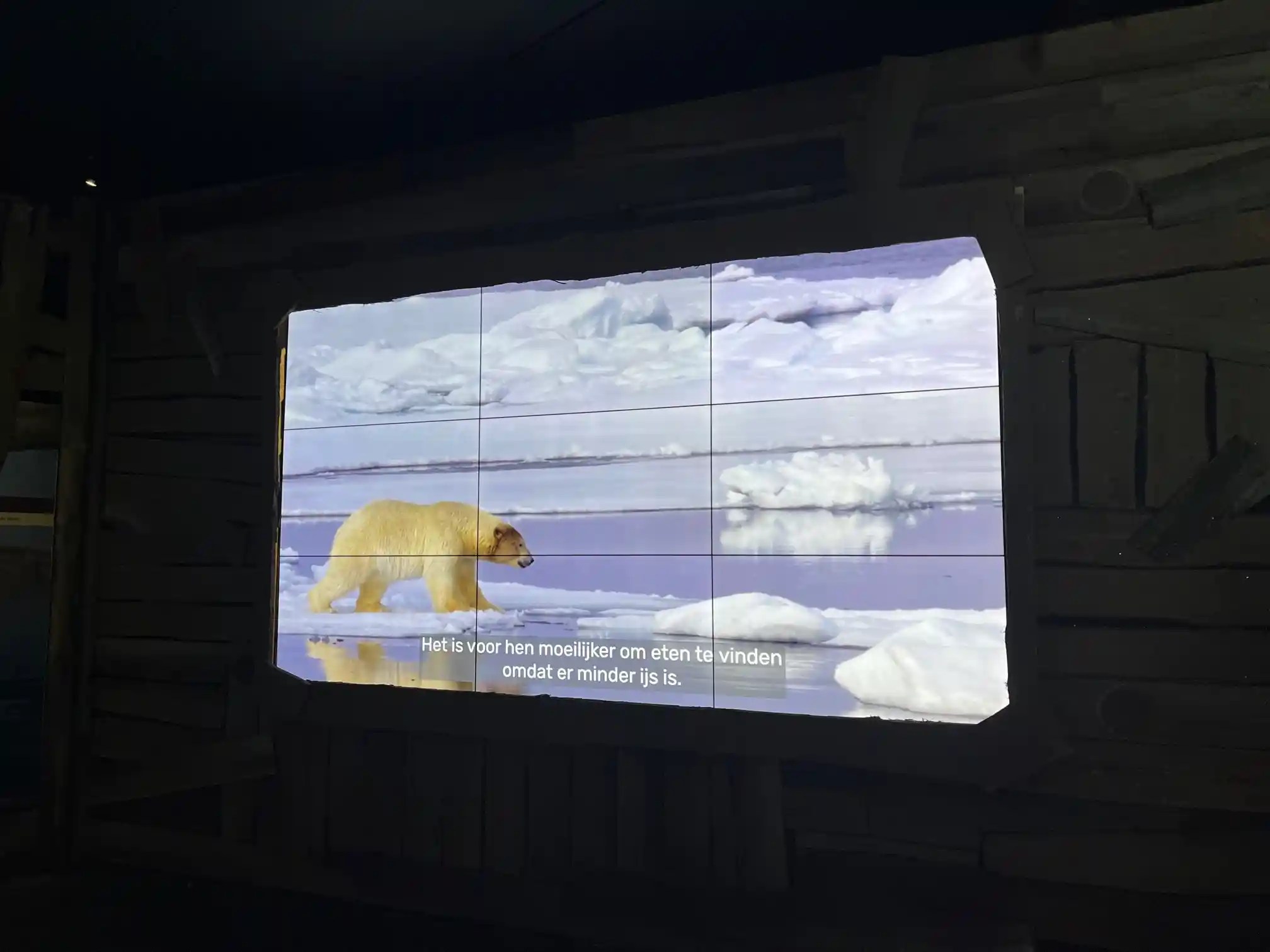 Videowall voor Blijdorp