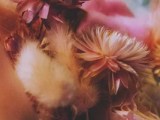 Css Hover Underline Animation 30 Seconds Of Code