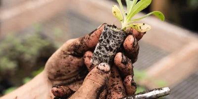 Create A Fixup Commit In Git 30 Seconds Of Code - 8K Ocean Photos for Desktop