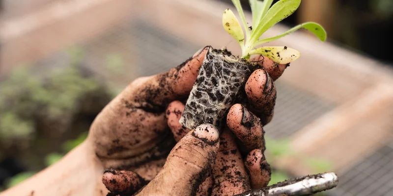 Create A Commit By A Different Author In Git 30 Seconds Of Code - Download Classic Space Design | HD