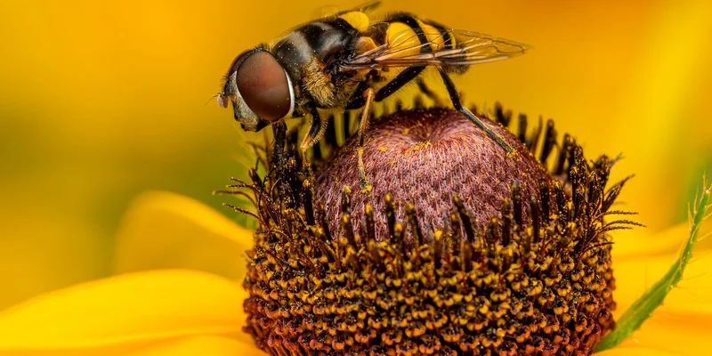 Invert Dictionary In Python Step By Step Guide Course Hero - 4K Sunset Textures for Desktop