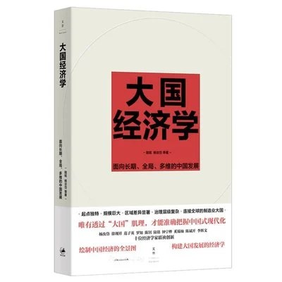 《大国经济学：面向长期、全局、多维的中国发展》陆铭 / 杨汝岱 / 上海人民出版社 / 2023