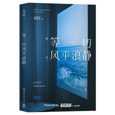 《等一切风平浪静》刘同 / 湖南文艺出版社 / 2024