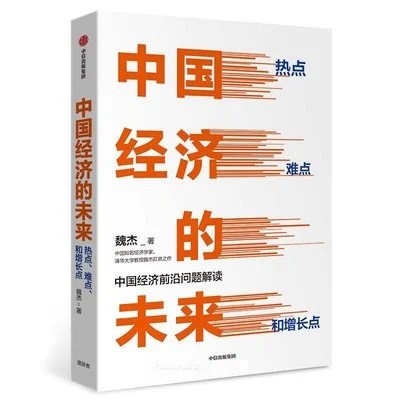 《中国经济的未来：热点、难点和增长点》魏杰 / 中信出版社 / 2019-11