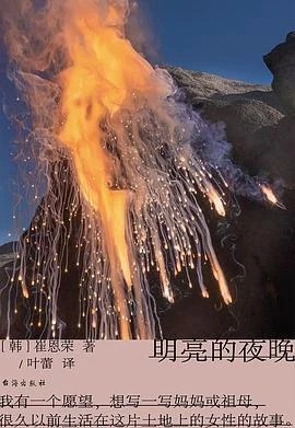《明亮的夜晚》[韩]崔恩荣 2023