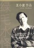 《绿毛水怪》王小波 2009