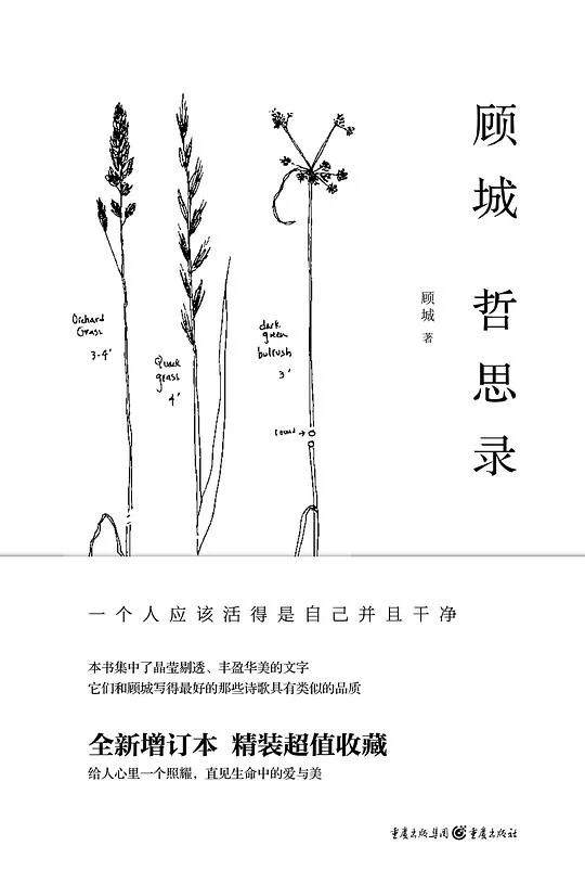 《顾城哲思录》顾城 2015