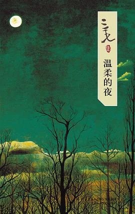 《温柔的夜》三毛 2007